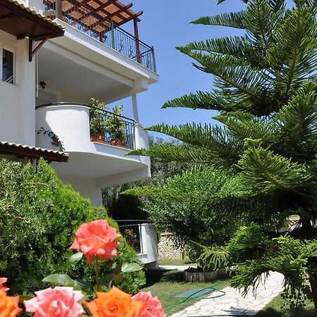 Efi & Zoi Apartments Sivota  Bagian luar foto