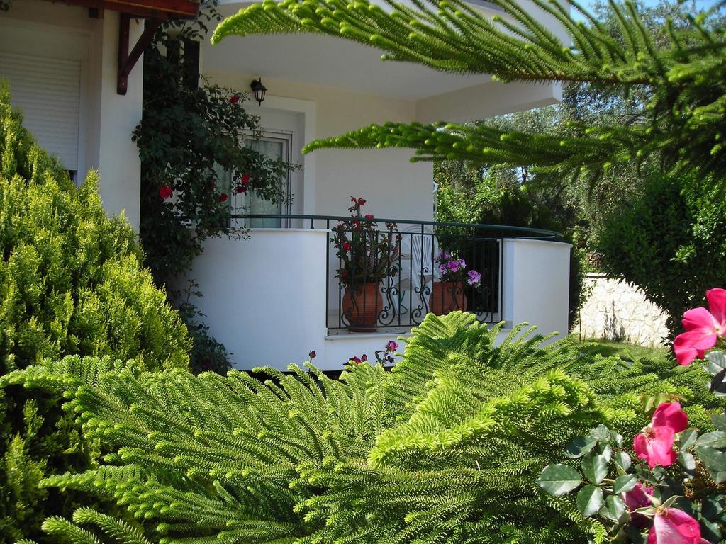 Efi & Zoi Apartments Sivota  Bagian luar foto