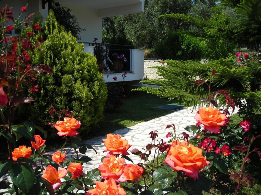 Efi & Zoi Apartments Sivota  Bagian luar foto